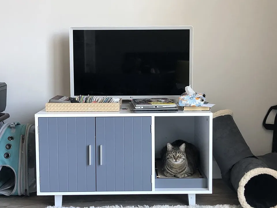 DIY Cat Litter Enclosure (from a computer desk)