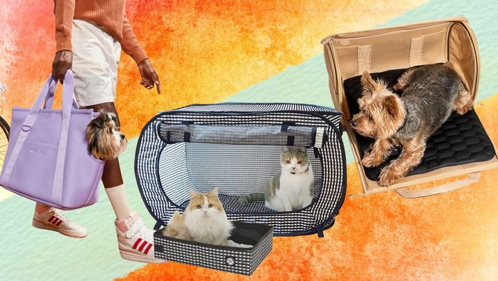 An everyday pet carrying tote from Wild One, a portable cat kennel with litter box and a Wild One airline-compliant travel carrier.