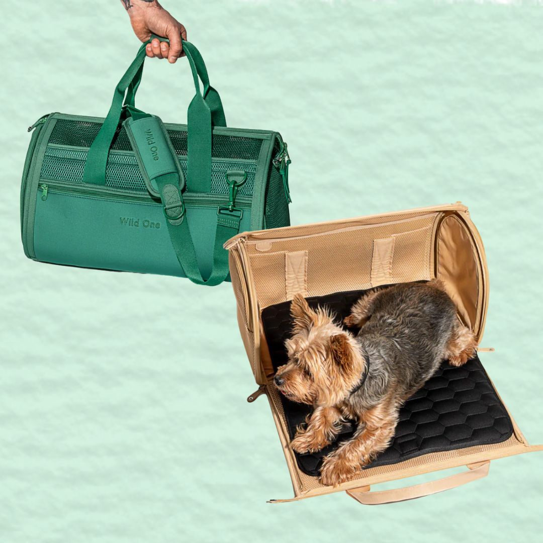 Pet travel accessories sale