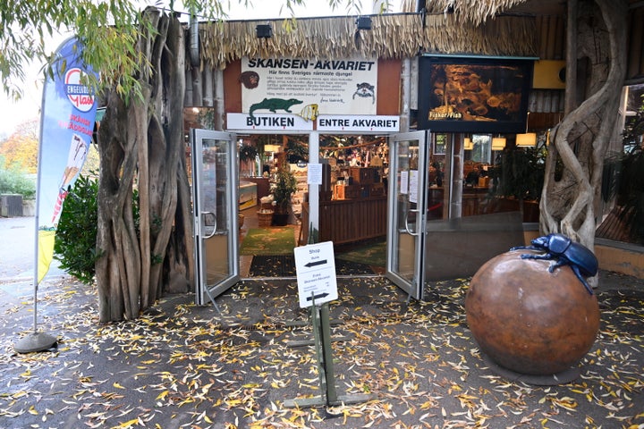 A venomous king cobra which escaped from its home in a Swedish zoo six days ago has been located inside the building where its terrarium is located but has not yet been recaptured, the park said Friday, Oct. 28, 2022. (Henrik Montgomery/TT News Agency via AP)