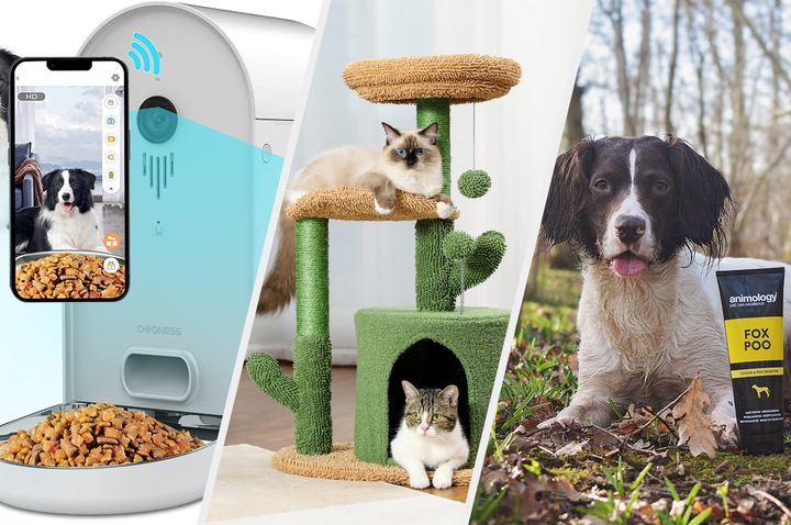 The pet-friendly buys I seriously couldn't live without