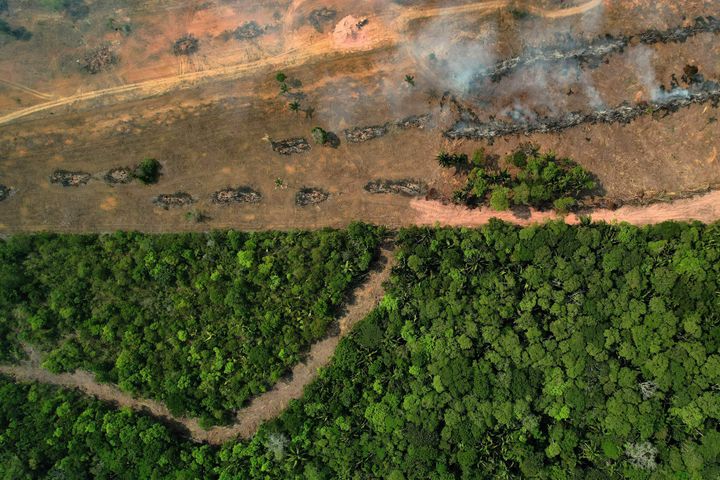 An aerial view of a burnt area in the Amazon rainforest near Porto Velho in the Brazilian state of Rondonia on Aug. 31, 2022. Experts say Amazon fires are caused mainly by illegal farmers, ranchers and speculators clearing land and torching trees.