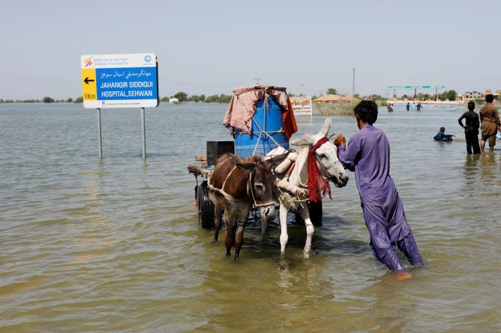 Ένας πλημμυροπαθής σπρώχνει το καρότσι του με το γαϊδουράκι του σε πλημμυρισμένο αυτοκινητόδρομο, μετά από βροχές και πλημμύρες κατά την περίοδο των μουσώνων στο Sehwan, Πακιστάν, 16 Σεπτεμβρίου 2022. REUTERS/Akhtar Soomro/File Photo