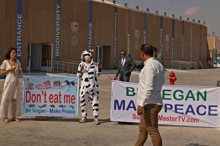 Vegan activists carry placards as they demonstrate at the entrance of the Sharm El Sheikh International Convention Centre, in Egypt's Red Sea resort of the same name, on Nov. 7, 2022, during the 2022 United Nations Climate Change Conference, more commonly known as COP27. 