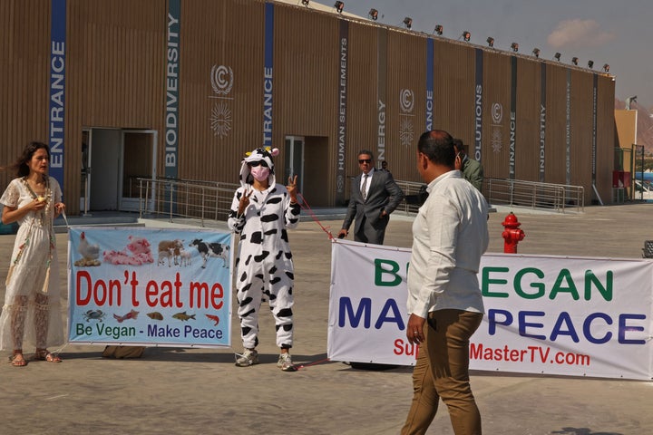 Vegan activists carry placards as they demonstrate at the entrance of the Sharm El Sheikh International Convention Centre, in Egypt's Red Sea resort of the same name, on Nov. 7, 2022, during the 2022 United Nations Climate Change Conference, more commonly known as COP27. 