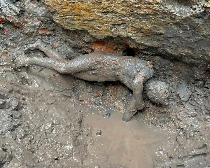 A statue is seen at the site of the discovery of two dozen well-preserved bronze statues from an ancient Tuscan thermal spring in San Casciano dei Bagni, central Italy. (Italian Culture Ministry via AP)