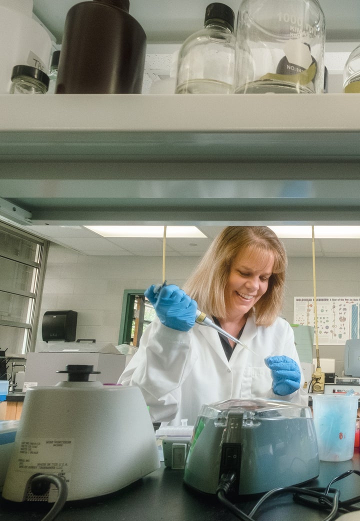 The author at work in the lab.