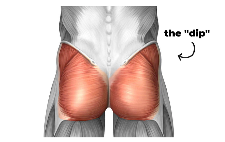 Here's a visual of the "hip dip" area. “No amount of exercise will change your skeleton’s shape,” says Helen Phelan, a certified pilates instructor.