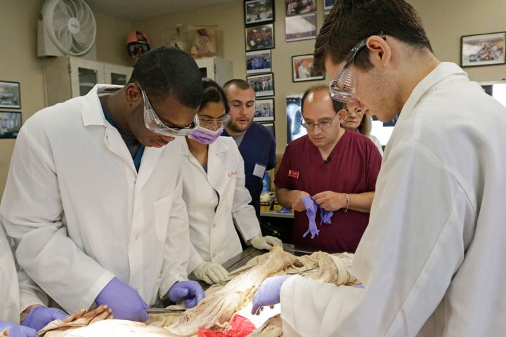 Μάθημα ανατομίας στην Ιατρική Σχολή του Πανεπιστημίου της Ιντιάνα (ΗΠΑ) το 2014