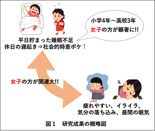 女子の方が睡眠不足になりやすいとの研究結果