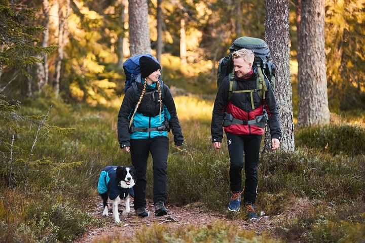 Non-Stop Dogwear works in all conditions – can we have one?