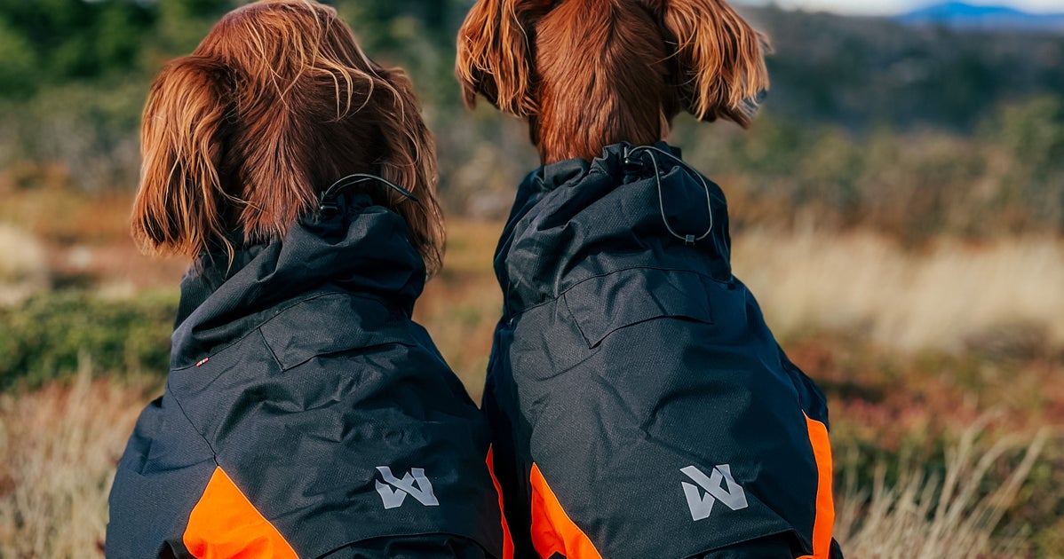 This Top Performance Dog Coat Is An Absolute Winter Saviour For Your