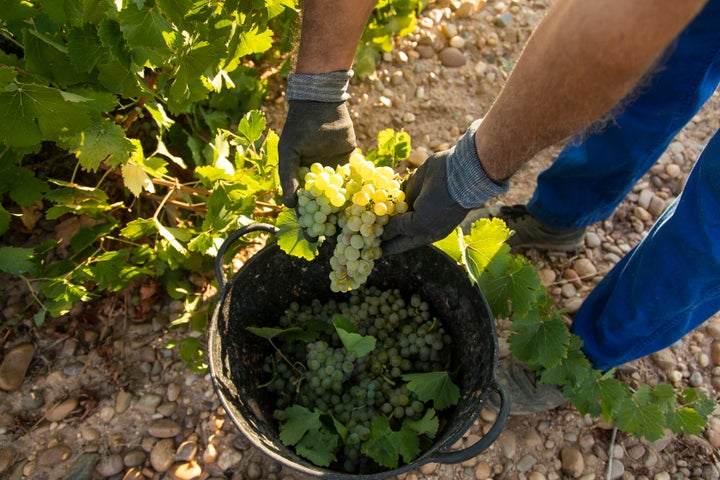 Cuarenta Vendimias Cuvée Gran Vino de Rueda