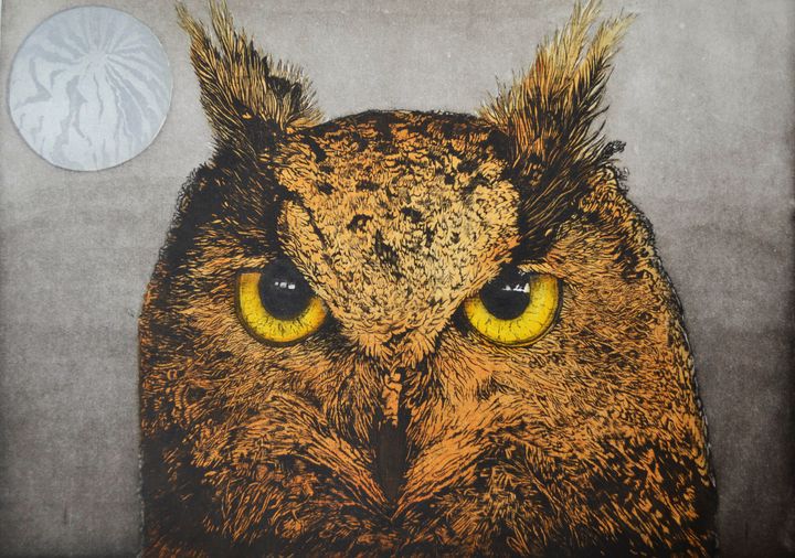 Judy Attwood, Midnight Owl, etching & aquatint, 50 x 70 cm, 2021