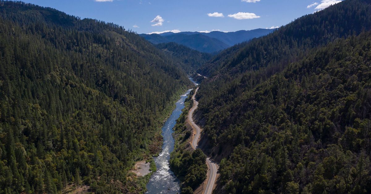 4 California Dams Approved To Be Demolished, Letting Salmon Swim Free