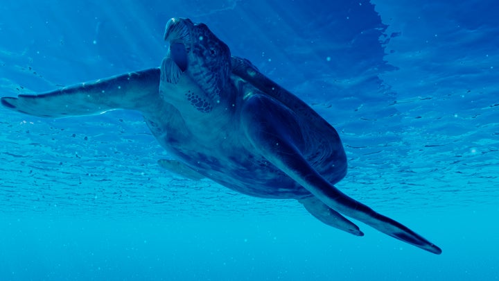 Απεικόνιση της γιγαντιαίας Archelon