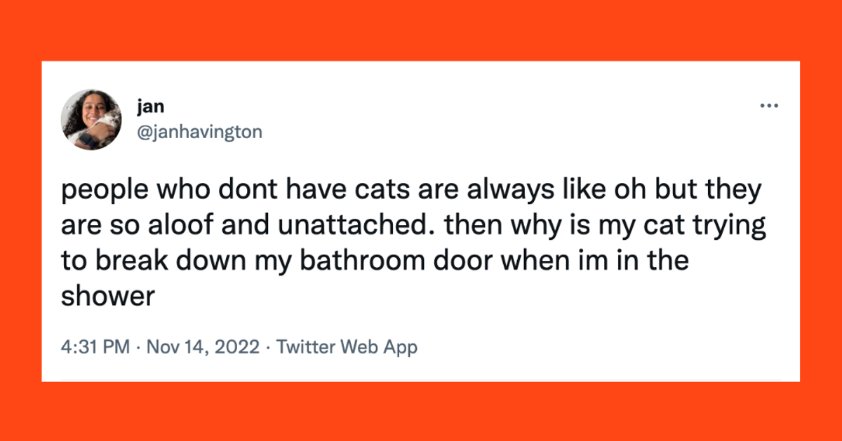 20 Of The Funniest Tweets About Cats And Dogs This Week (Nov. 1218