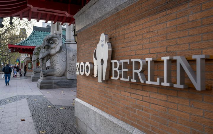The Berlin Zoo shut its doors to visitors after one of its aquatic birds tested positive for avian flu, the facility said Friday. (Monika Skolimowska/dpa via AP)