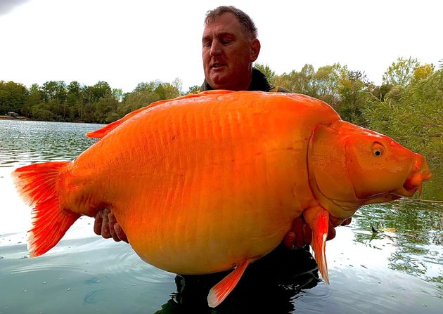 巨大なオレンジの魚と釣り上げたハケットさん