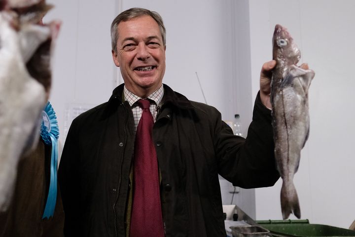 Nigel Farage holds a fish as he visits a fish processing factory in Grimsby Fishing village as part of a media event during the Brexit Party general election campaign tour on November 14, 2019 
