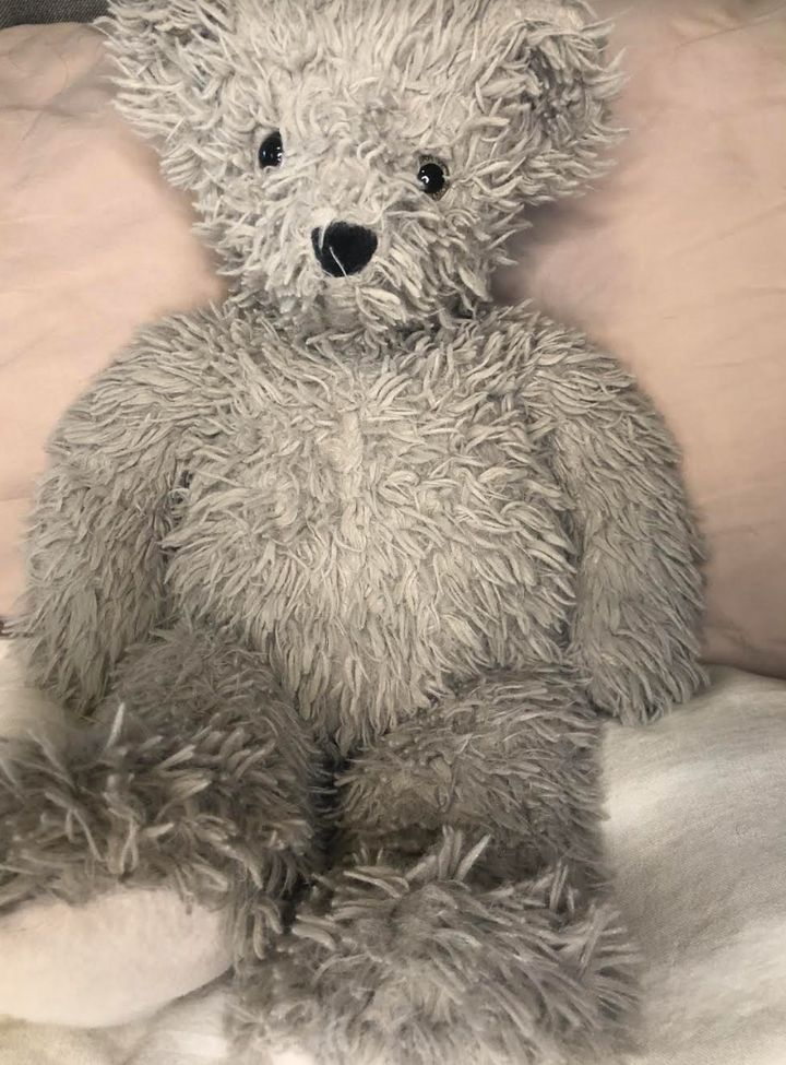 The author's teddy bear, Teddy.