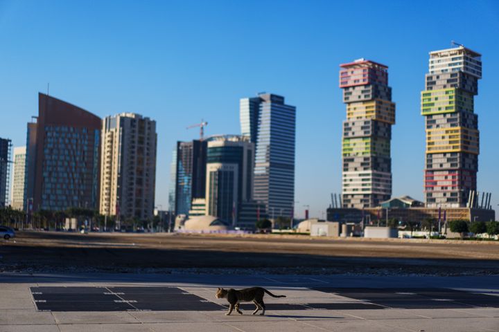 Μια γάτα περπατά σε έναν δρόμο στη μαρίνα με τους Δίδυμους Πύργους δεξιά, στο βάθος στο κέντρο της πόλης, Κατάρ, Πέμπτη, 24 Νοεμβρίου 2022.