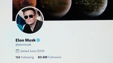 Oh Look, Elon Musk Is Letting