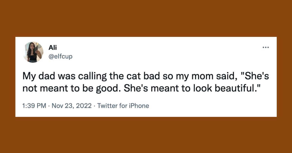 22 Of The Funniest Tweets About Cats And Dogs This Week (Nov. 19-25)