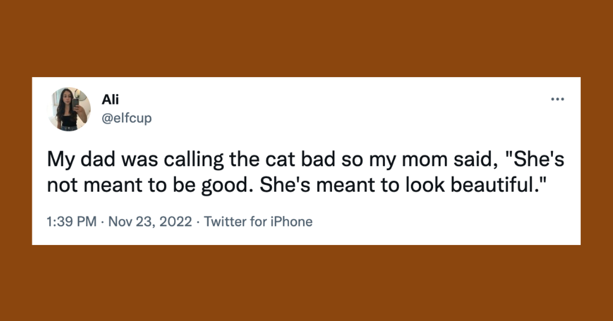 22 Of The Funniest Tweets About Cats And Dogs This Week (Nov. 19-25) | HuffPost Entertainment