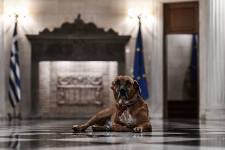 Από την συζήτηση δεν μπορούσε να λείψει ο πιο "ιδιαίτερος" ένοικος του Μαξίμου, ο Πίνατ