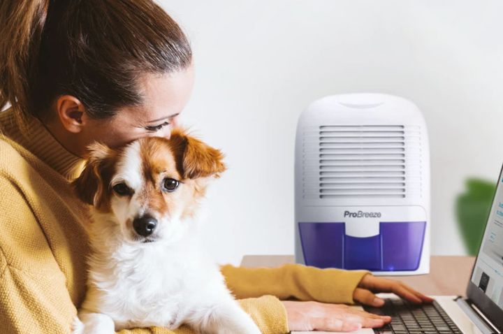 Say goodbye to condensation with this bestselling dehumidifier