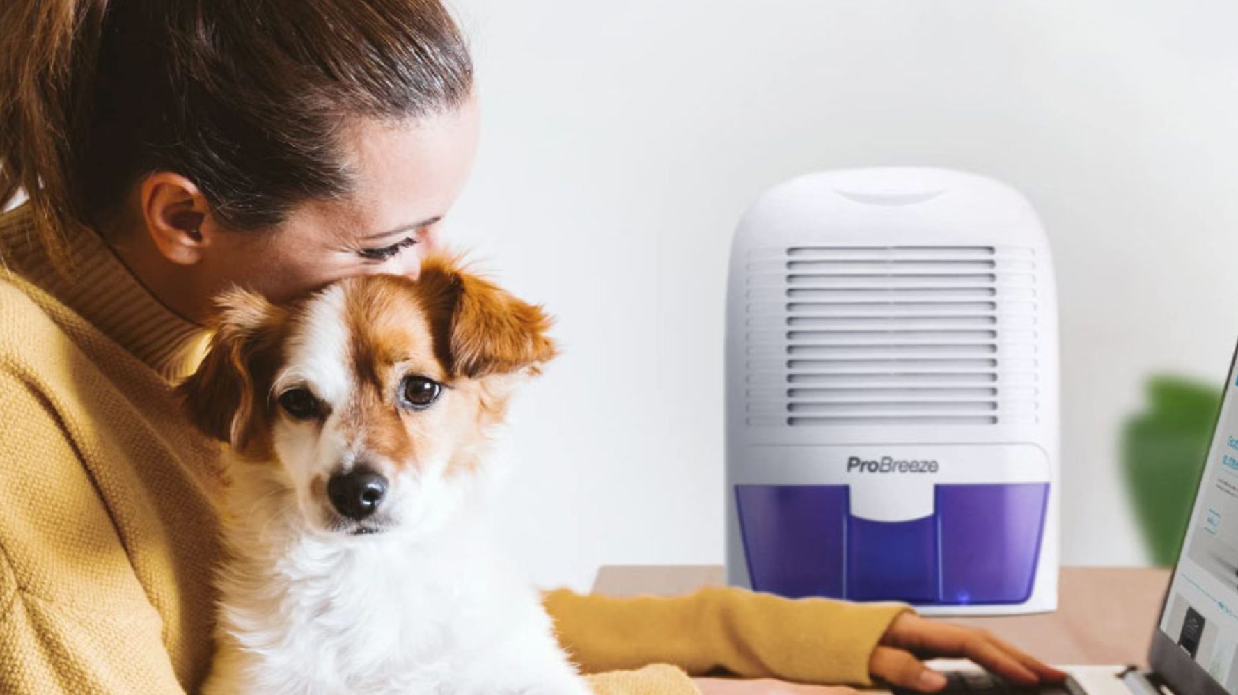This Dehumidifier With 23% Off Is Here To Solve Your Winter Condensation  Problems