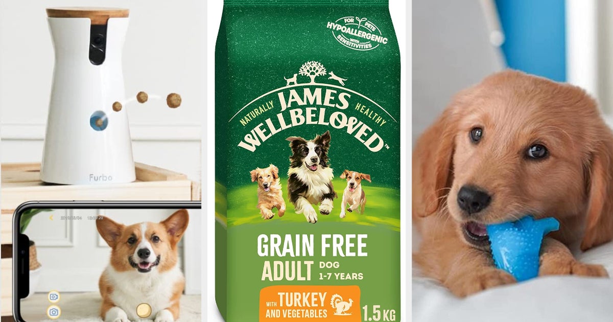 Quick There s Just A Few Hours Left To Nab These 15 Pawsome Pet perfect-pet-products-for-fido-co-container-stories