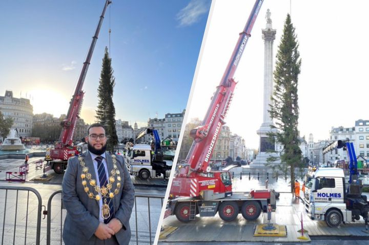 This year's Christmas tree for Trafalgar Square has arrived