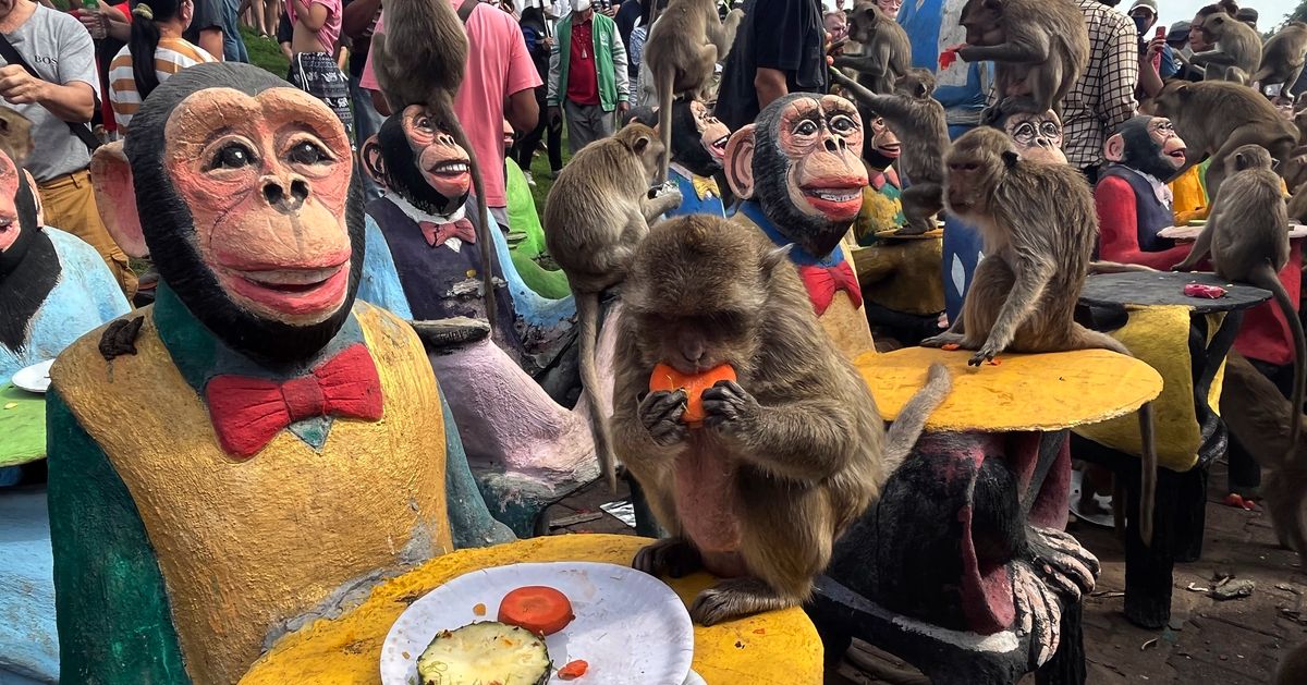 Thousands of monkeys celebrate a day of celebration in central Thailand — and it’s bananas
