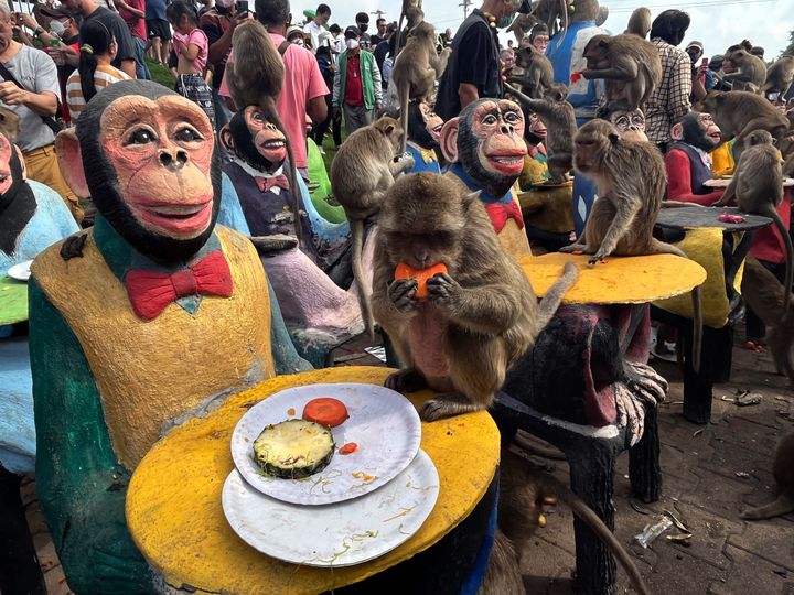 Monkeys enjoy fruit during monkey feast festival in Lopburi province, Thailand. The festival is an annual tradition in Lopburi, which is held as a way to show gratitude to the monkeys for bringing in tourism. (AP Photo/Chalida EKvitthayavechnukul)