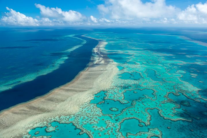 The warning came in a report drawn from a 10-day mission to the reef in March by officials from UNESCO and the International Union for Conservation of Nature. 
