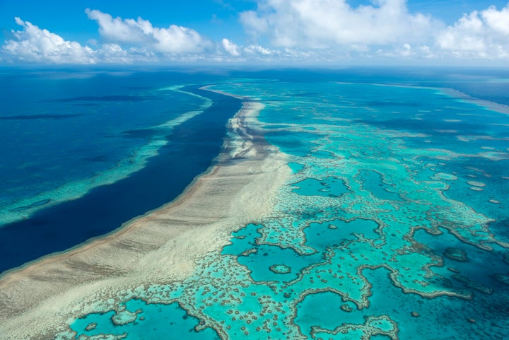 The warning came in a report drawn from a 10-day mission to the reef in March by officials from UNESCO and the International Union for Conservation of Nature.