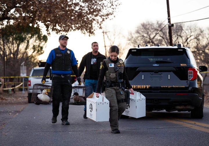 Deputies removed ducks and other animals from the scene of the likely murder-suicide.