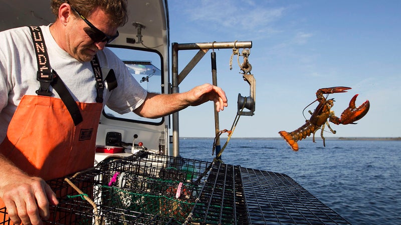 fish farming