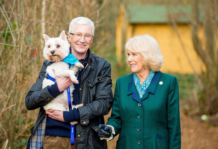Paul O'Grady For The Love Of Dogs