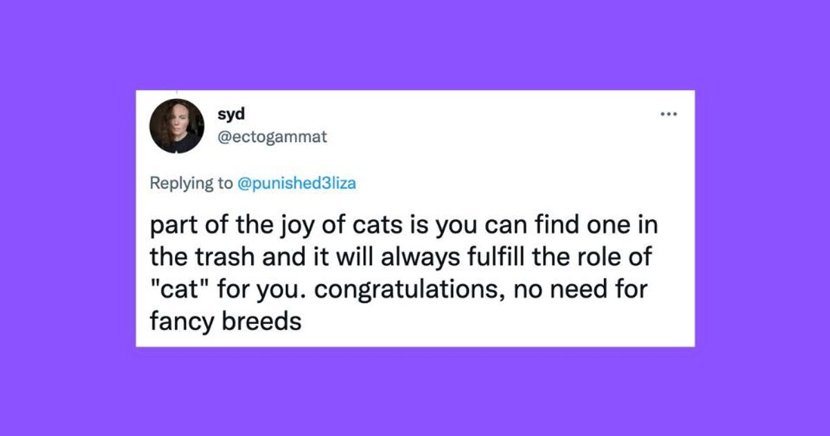 21 Of The Funniest Tweets About Cats And Dogs This Week (Nov. 26-Dec. 2)