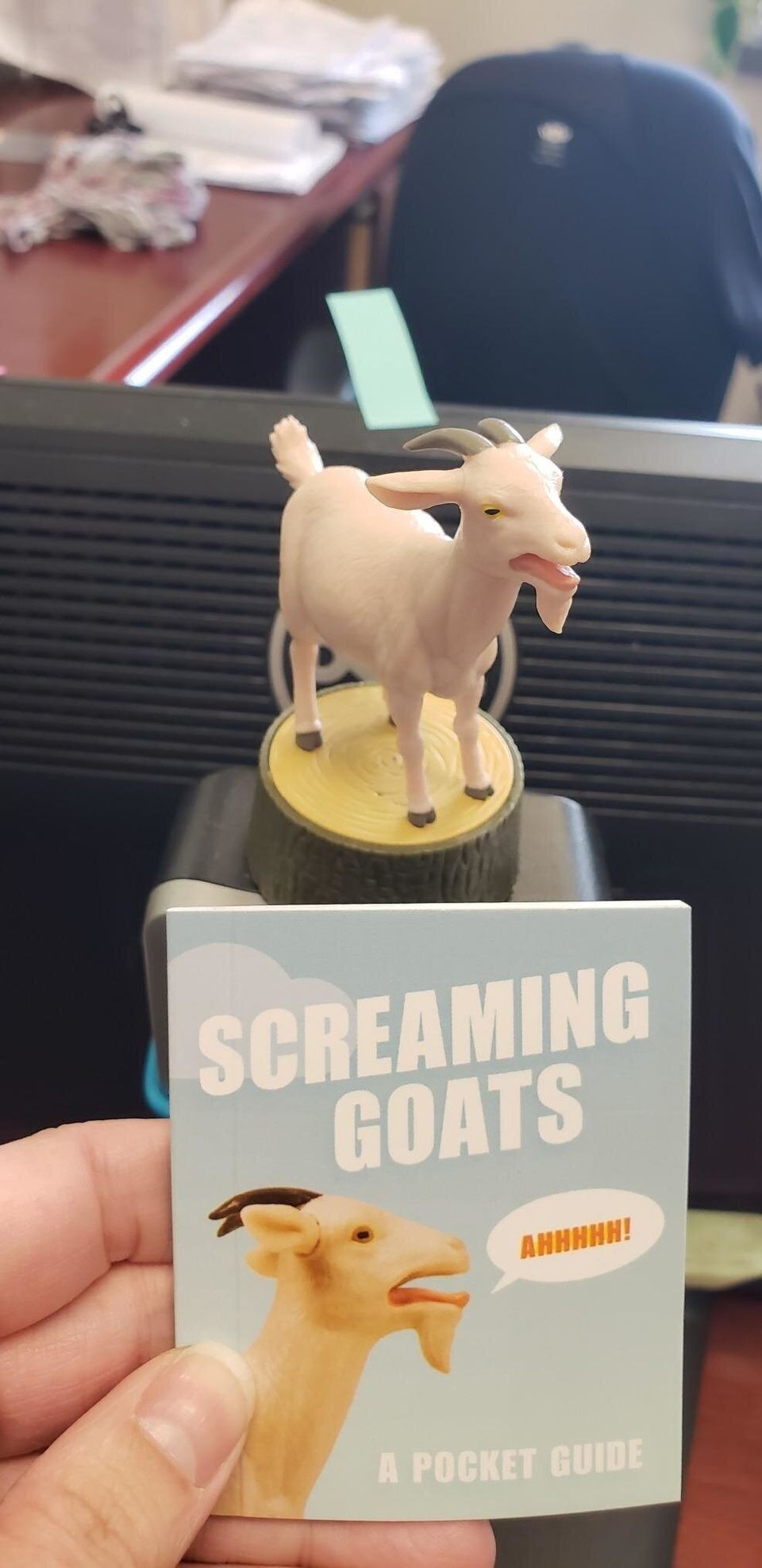 A screaming goat