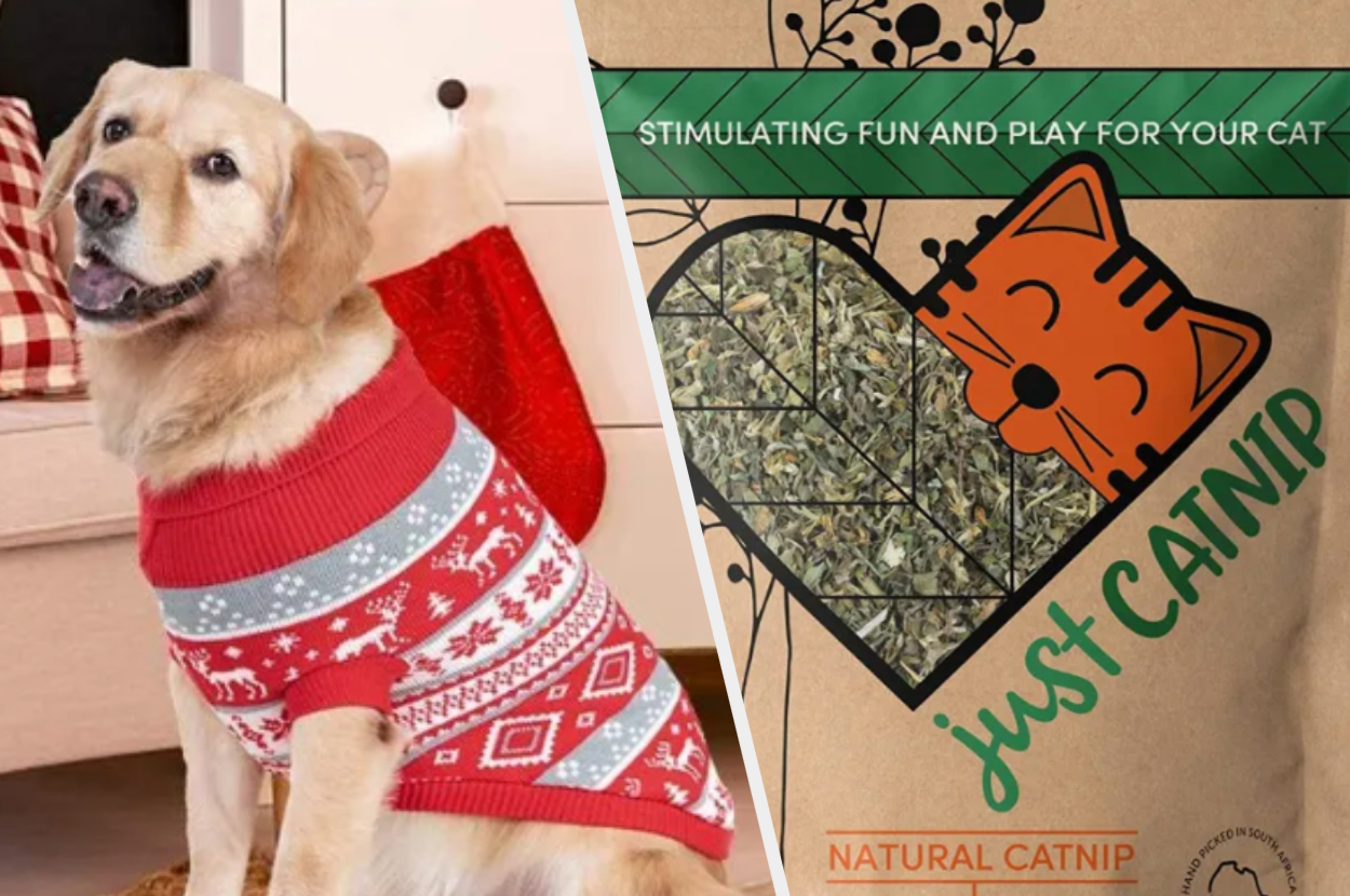 Crackin' gifts for animal lovers | Finest Imaginary