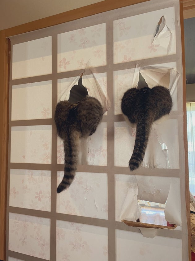 「すごくバズっているので、裏も見る？」