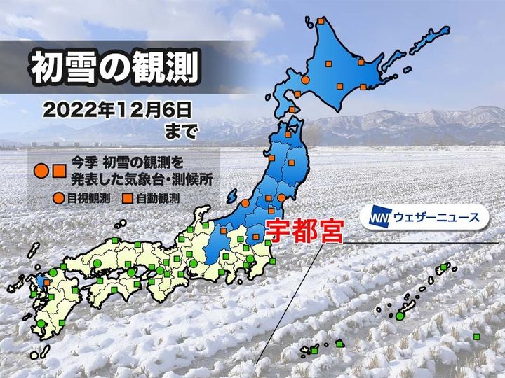 初雪の観測