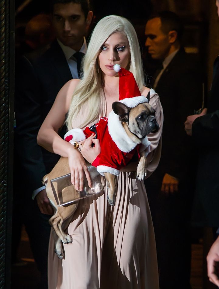 Η τραγουδίστρια και τραγουδοποιός Lady Gaga και η σκυλίτσα της Stella παρευρίσκονται στο 10ο ετήσιο Women in Music του Billboard στο Cipriani 42nd Street στις 11 Δεκεμβρίου 2015 στη Νέα Υόρκη.