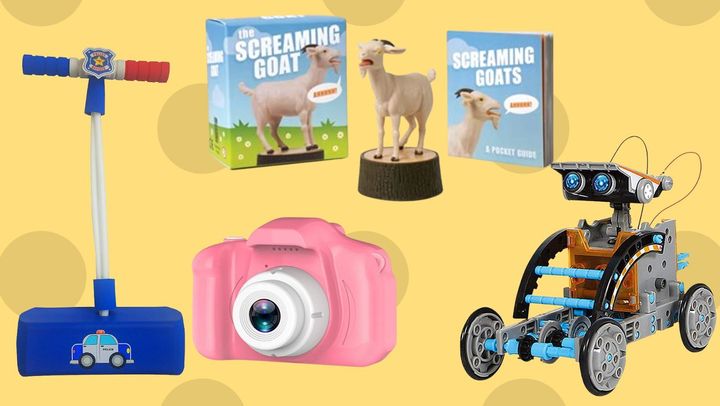 Flybar foam Pogo jumper, "The Screaming Goat" paperback book and figurine, a STEM 12-in-1 solar robot toy and a selfie camera for kids.