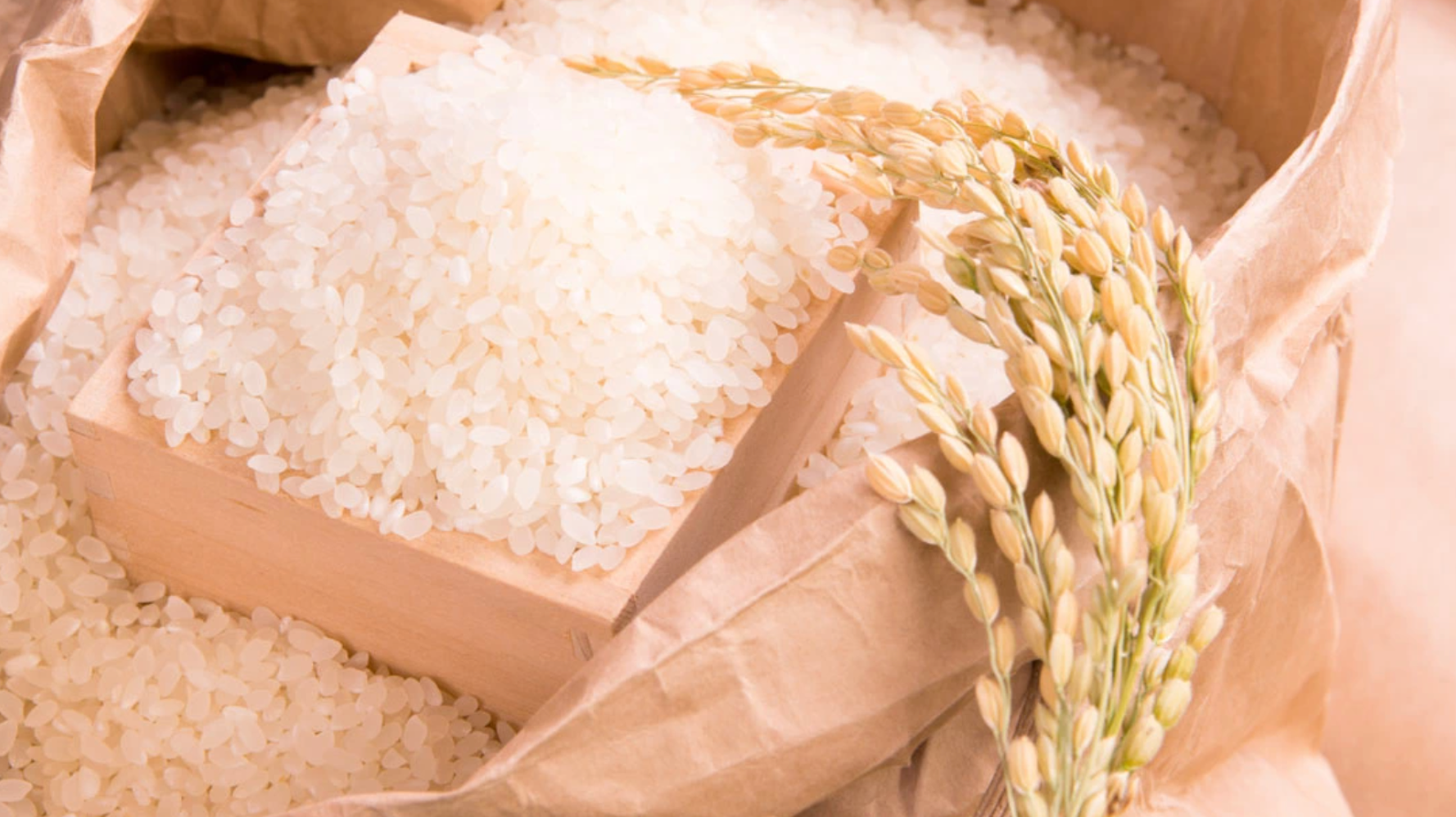 白米【まとめ買い割引】 まとめ買い割引キャンペーン｜通販 - ディノス