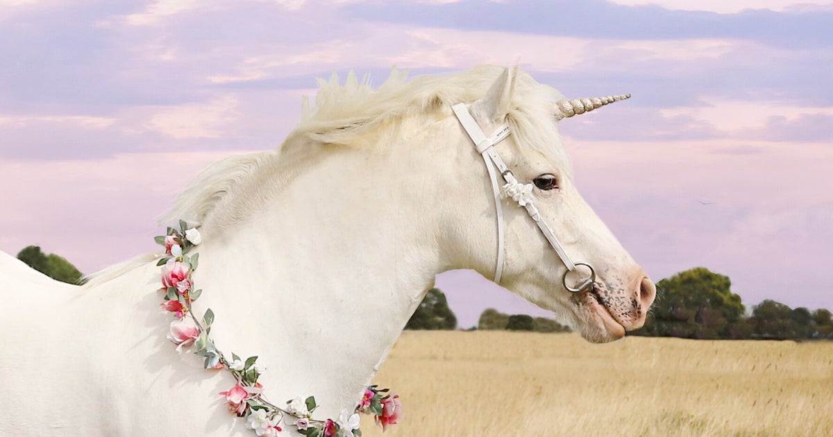 Los Angeles Animal Control Grants Unicorn License To Young Girl - Vimarsana News